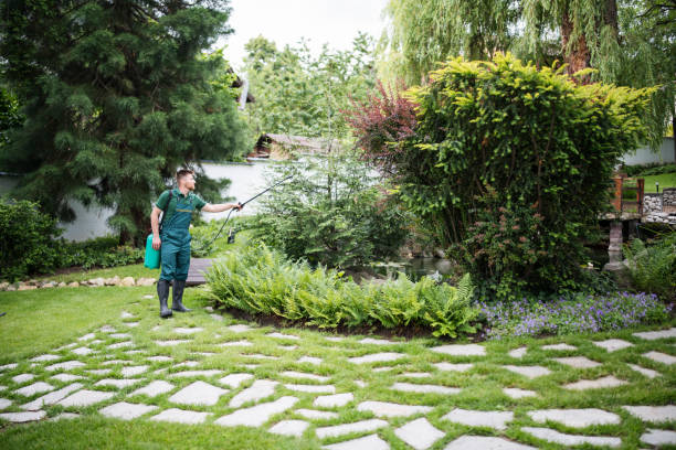 Best Pest Control Near Me in Wauwatosa, WI