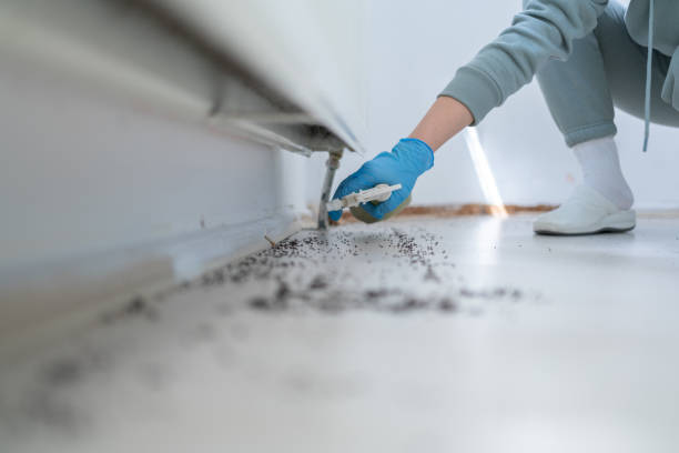 Best Best Pest Control Companies  in Wauwatosa, WI